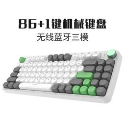 客制化 德化瓷 沙皮貓 可愛 寵物骨灰罐 火化骨灰盒 寵物骨灰罈 寵物骨灰 貓骨灰 狗狗骨灰罐 歷史價格詳細信息