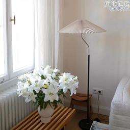 臥室床頭立燈  18W落地燈 氛圍燈 立式床頭燈 落地台燈 腳踏開關+遙控調光 歷史價格詳細信息