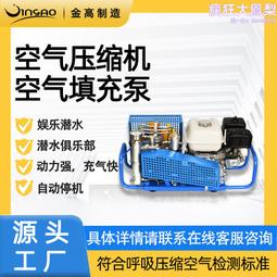 潛水呼吸器機水肺便攜裝備深浮潛水下抓魚捕撈氧氣瓶人造魚鰓全套~特價~特價 歷史價格詳細信息