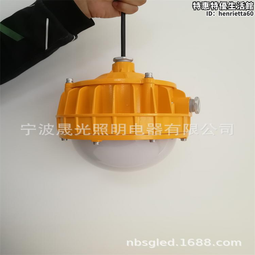 圓形led防爆投光燈免維護加油站工礦燈 防爆安全應急燈三防燈 歷史價格詳細信息