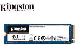 Kingston 金士頓 NV1 SNVS NVMe 500GB 1TB 2TB M.2 PCIe 500G 1T 2T 歷史價格詳細信息