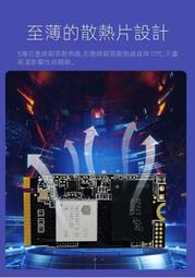 全新(M.2 2242 NVMe SSD) 5年保固 PCIe Gen3x4 1TB 512G 256G 固態硬盤ㄈ 歷史價格詳細信息