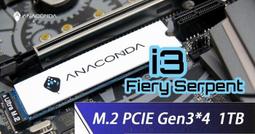 巨蟒 ANACOMDA巨蟒 PCIe Gen3x4 NVMe SSD固態硬碟 I3  [全新免運][編號 W72737] 歷史價格詳細信息
