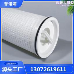 大流量濾芯 水處理過濾 電廠水處理過濾 摺疊聚丙烯精密濾芯 歷史價格詳細信息