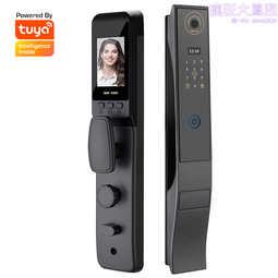 【指紋開鎖 超長待機】指紋掛鎖 智能鎖 指紋鎖 掛鎖 大門鎖 智能指紋鎖 電子掛鎖 塗鴉 通用型 防雨 指紋解鎖 歷史價格詳細信息