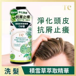 TC草綠長褲一甲全新品 歷史價格詳細信息