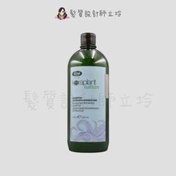 立坽『洗髮精』麗波國際公司貨 K18胜肽淨化洗髮露250ml HH12 HS02 歷史價格詳細信息