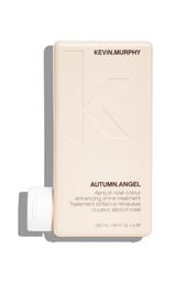 KEVIN MURPHY 乒乓髮浴 250ml 歷史價格詳細信息