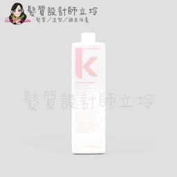 kevin murphy 凱文墨菲 潤護系列 250ml 護髮 潤髮 (多款可選) 歷史價格詳細信息
