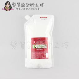 立坽『瞬間護髮』娜普菈公司貨 Napla 柯雅HB染髮專用護髮乳S(保濕型)250g HH04 歷史價格詳細信息
