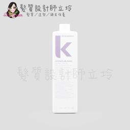 【KEVIN.MURPHY】天使潤護 ANGEL RINSE 公司貨 1000ml 歷史價格詳細信息