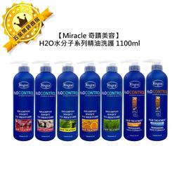 渴望 Eager (頭皮調理) 葉綠素 奇蹟原廠公司貨 台灣製 美髮 沙龍店專用 1000ml 歷史價格詳細信息