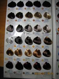 潔兒美容美髮專賣店_好馬無磁波設計師專業用吹風機 (有冷熱風) 歷史價格詳細信息