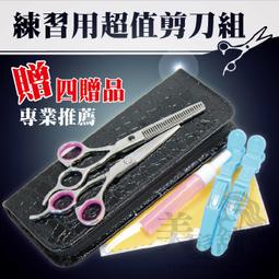 【贈乾髮帽】TESCOM TID450TW 大風量 雙倍負離子 吹風機 群光公司貨 歷史價格詳細信息