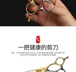 理髮剪刀理髮店專用剪刀套裝無痕平剪打薄牙剪髮型師專業美髮剪刀 歷史價格詳細信息