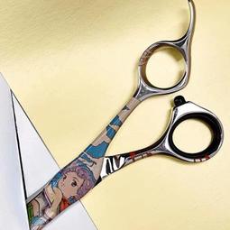 美髮剪刀包髮型師專用腰包美髮師理髲剪刀工具包挎包剪子腰帶 歷史價格詳細信息