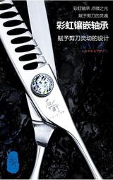 TT正品皮帶時尚潮流防水裝飾大氣女款女士手錶時尚款女2018新款 歷史價格詳細信息