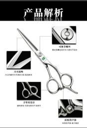 楊剪美發剪刀平剪牙剪專業理發剪刀套裝優質鋼材打薄剪包郵 歷史價格詳細信息