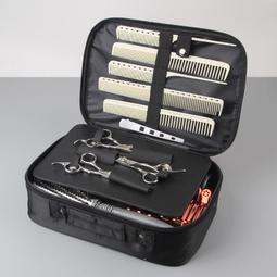 【髮拉Z】沙龍美髮專業吹風機R8 (居家美容 吹整設計 可調式 風量 節能 台灣製造) 歷史價格詳細信息