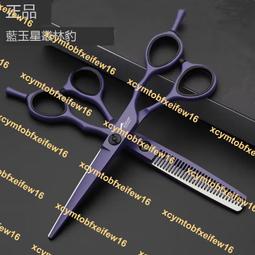 德國發型師吹風機3000速乾大功率吹風機家用宿舍強風冷風發護髮靜 歷史價格詳細信息