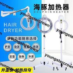 美發護理理發店焗油染發蒸汽機發廊專用養發護發加熱納米全新 歷史價格詳細信息