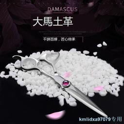 鹿剪專業理發剪刀發型師專用5.5英寸剪發剪刀美發剪平剪直剪劉海 歷史價格詳細信息