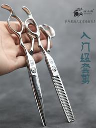 專業理發剪刀美發剪刀韓式流行款平剪結構剪理發店發廊剪刀日式剪 歷史價格詳細信息