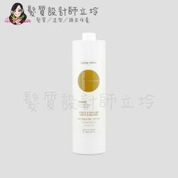 Eugene Perma(EP) 大藝術家 活力俏捲乳150ml 歷史價格詳細信息