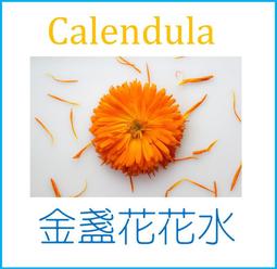 金盞花菊花紅棗枸杞決明子茶 歷史價格詳細信息