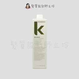 KEVIN.MURPHY 洗髮精 1000ml-多款任選 歷史價格詳細信息