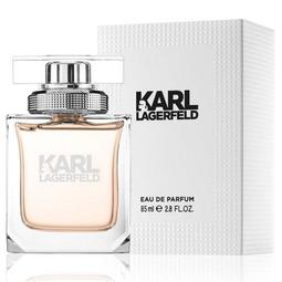 Karl Lagerfeld 卡爾·拉格斐 同名男性淡香水 100ml-Tester包裝 歷史價格詳細信息
