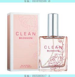 CLEAN 綻放女性淡香精 香水 60ml Blossom EDP 防彈少年團 BTS 代言 花香 - WBK SHOP 歷史價格詳細信息