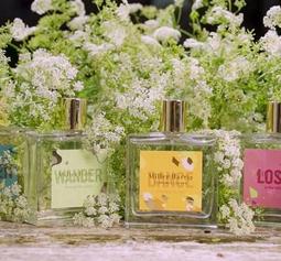 Forange Block方澄積木 FC8309花間日記(6)  益智拼裝積木【積木共和國】台灣現貨 檢驗合格 歷史價格詳細信息