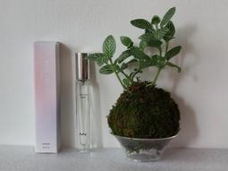 《省大大》【McCTILL 美珂媞歐】全胜肽逆時瞬效極萃安瓶 (1.5ml/5入 ) 濃縮型精華 保濕精華液 歷史價格詳細信息