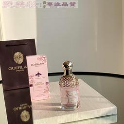 舞之嬌帶跟練功鞋軟底成人教師鞋免繫帶帆布瑜伽白色黑色紅色跳舞 歷史價格詳細信息