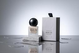 新品橡果燈戶外露營照明掛燈可續航充電 歷史價格詳細信息