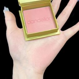 紅D 撤櫃折扣童裝男童純棉內褲中大童舒適四角短褲全棉兒童四角褲 歷史價格詳細信息