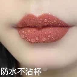 肉桂奶茶30到40歲口紅不沾杯不掉色滋潤孕婦可用素顏黃皮顯白防水 歷史價格詳細信息