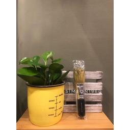 bareMinerals ORIGINAL LIQUID MINERAL FOUNDATION 透亮礦物粉底液SPF20 歷史價格詳細信息