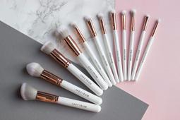 (現貨在台)spectrum collections Mean Girls 8件化妝刷具套組 歷史價格詳細信息