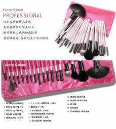 Cerro Qreen 天然動物毛10支專業化妝刷 流光琴色 綄碧色 刷桶【愛來客 】專利商標品牌 歷史價格詳細信息