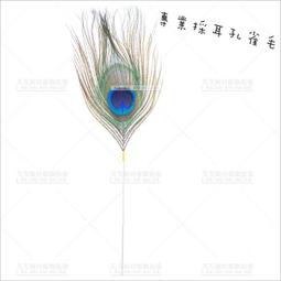 材料員專業管理實務 第二版第2版 江蘇省建設教育協會 中國建築工 歷史價格詳細信息