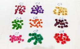 乾燥花水晶吊飾/Erisky Mu品牌特賣/ 歷史價格詳細信息