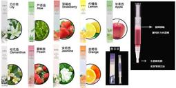 指緣油分裝筆 分裝瓶 真空瓶 分裝筆 【小麥購物】 24H出貨 旅行 化妝品分裝 粉底液分裝 外出 便攜  【G318】 歷史價格詳細信息