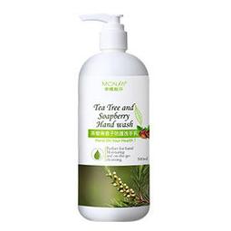無患子茶樹精油抗菌洗手乳310g【愛買】 歷史價格詳細信息