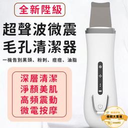粉刺機 鏟皮機 美容淨膚儀 超音波 黑頭 粉刺神器 超聲波美容充電式鏟皮機 毛孔清潔器 去角質 蒸臉器 美容儀 戰痘機 歷史價格詳細信息