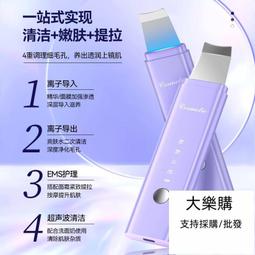 美容多功能粉刺夾/棒 掏耳棒  粉刺夾 擠粉刺工具 直嘴夾 斜頭夾 彎形夾 美妝用具 多功能粉刺夾 多功能粉刺棒 粉刺針 歷史價格詳細信息