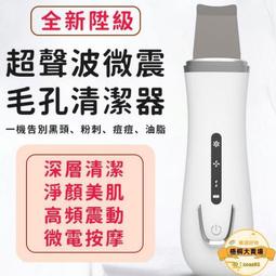 【超聲波毛孔清潔】美容儀 粉刺機 黑頭粉刺機 毛孔清潔 美容鏟皮機 去黑頭機 去粉刺機 收縮毛孔 提拉緊緻肌膚 歷史價格詳細信息