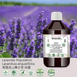 【芳香療網】Lavender Australian 澳洲真正薰衣草有機花水純露滿300送純露功效電子書500ml 歷史價格詳細信息