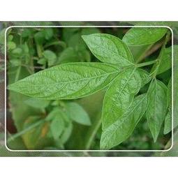 抹 段落軸V2HIFi麻將音 插拔客制化機械鍵盤開關軸體 歷史價格詳細信息